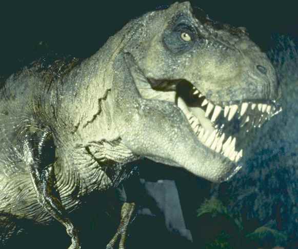 Dinosaurland Fossil Museum